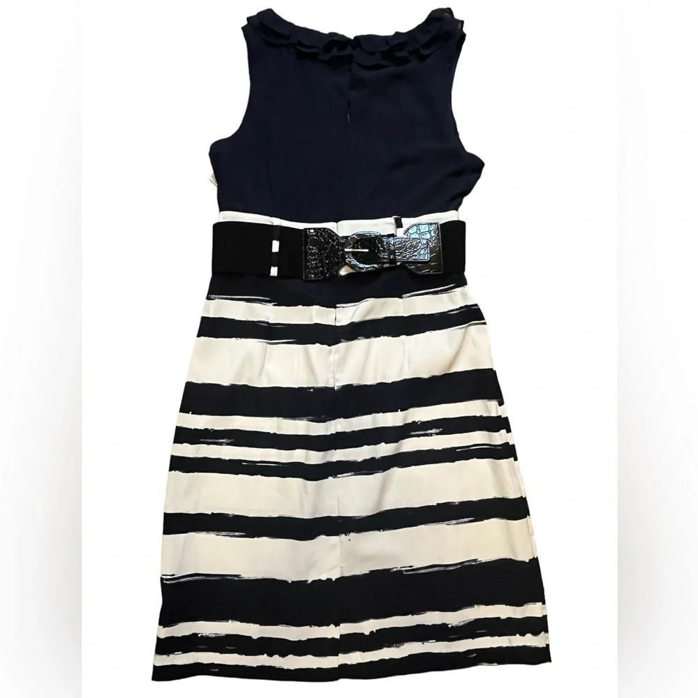 ALYX Ruffle Bodice Sleeveless Women’s Dress size 12 - Picture 8 of 15